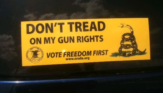 Bumper Sticker - Smyrna TN - Gun Rights