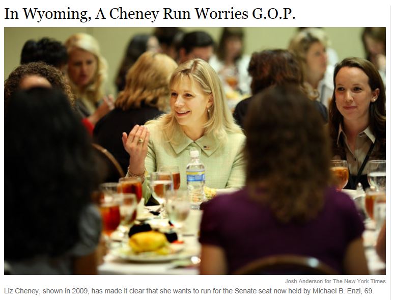 Liz Cheney Run in Wyoming Senate