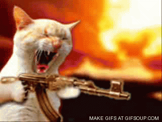 cat-shooting-a-machine-gun-o