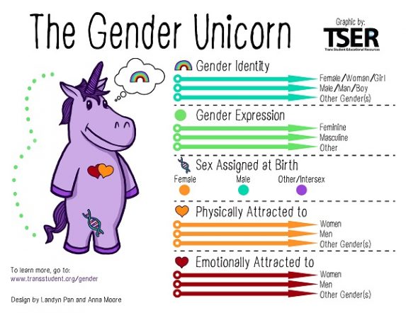 http://www.transstudent.org/gender
