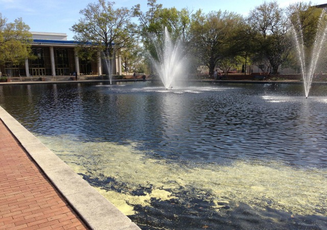 https://commons.wikimedia.org/wiki/File:Thomas_Cooper_Library,_University_of_South_Carolina,_Reflecting_Pond.JPG