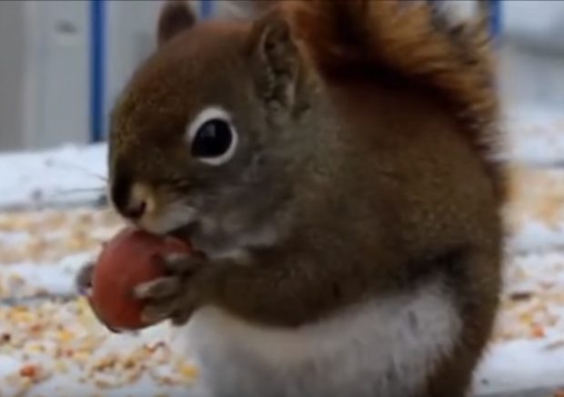 https://youtu.be/4yikpWtIFU8