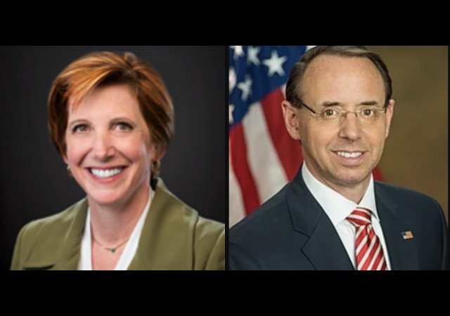 gov photos: https://upload.wikimedia.org/wikipedia/commons/thumb/e/e8/Rod_Rosenstein_official_portrait_2.jpg/220px-Rod_Rosenstein_official_portrait_2.jpg; https://www.cdc.gov/about/leadership/leaders/ncird.html