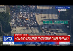 ‘Pro-Palestine’ Protesters Blocking 110 Freeway in Los Angeles